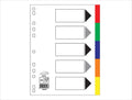 Polypropylene A4 Dividers Multi-Color
