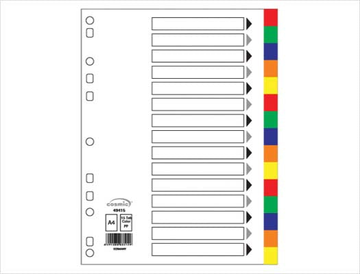 Polypropylene A4 Dividers Multi-Color