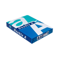 Double A A4 Premium Copy Paper 80gsm White