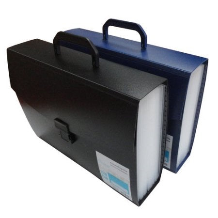 Data Zone 31-Pocket Expanding File Folder - Black