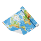 FIS Laminated World Map Poster - 70x100 cm