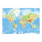 FIS Laminated World Map Poster - 70x100 cm