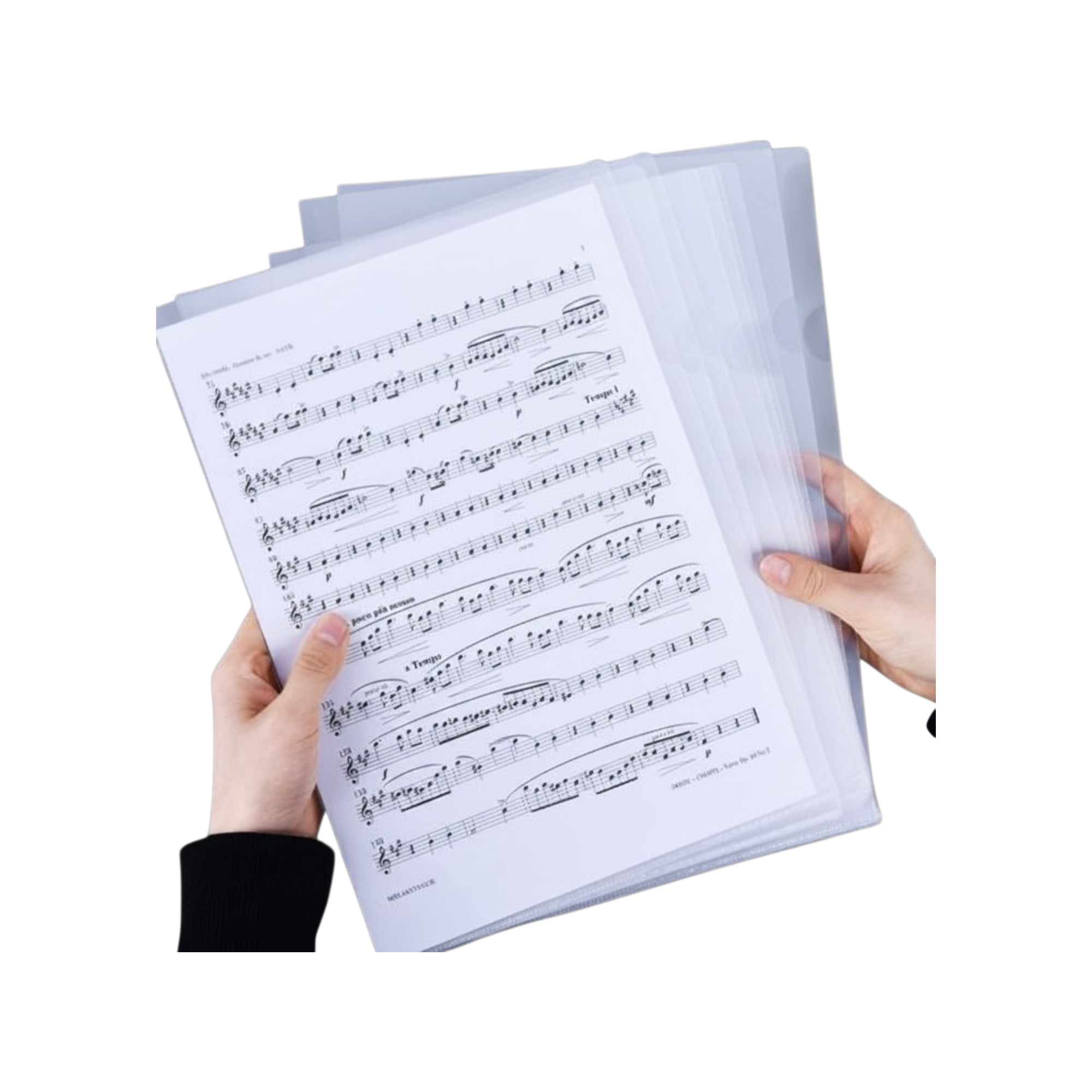 Clear A4 Plastic L-Shape Folder