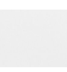 Conqueror Paper, A4, 100gsm, Brilliant White, Wove Finish, 500sh/Pack