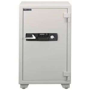 Eagle Safe ES-100 Fire Resistant Key and Electronic Lock 205 KG