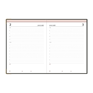 FIS A5 Undated Diary, Day to Page