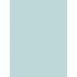 IQ Colored Copy Paper, Pale Blue, A4 Size, 80gsm, 500 Sheets/Ream, Ref: BL29 