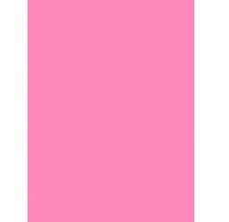 IQ Colored Copy Paper, Pink, A4 Size, 80gsm, 500 Sheets/Ream, Ref: P125 