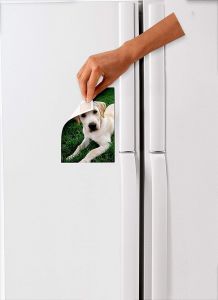 3M Scotch 108 Removable Mounting Squares, 1' X 1", 16 Squares/Pack